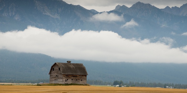 Barn in a field with Mission Mountains