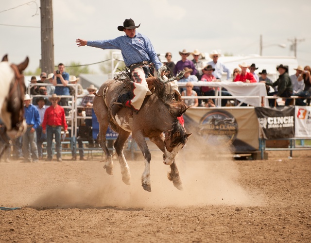 Miles City Bucking Horse Sale, Miles City