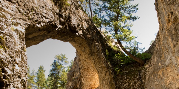 Mission Canyon, Natural Bridge, Hays, MT