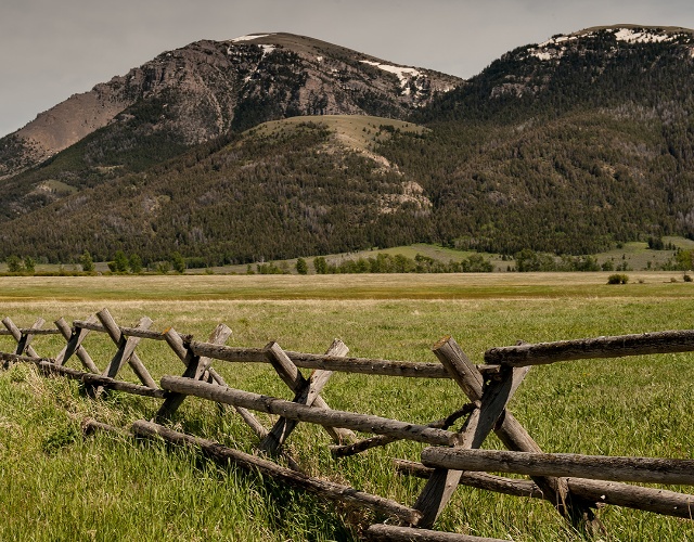 Rustic wooden fence running through a field