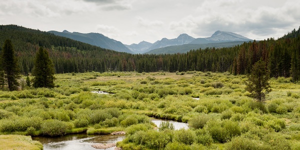 Marshland and mountain range