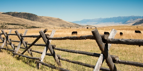 Rustic fence in a field