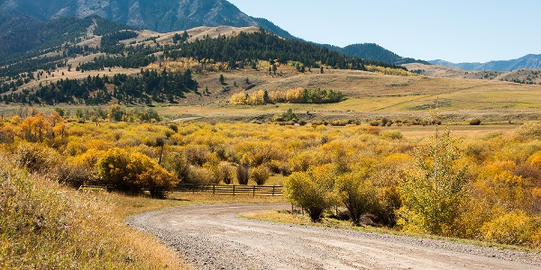 Country road winding through golden field