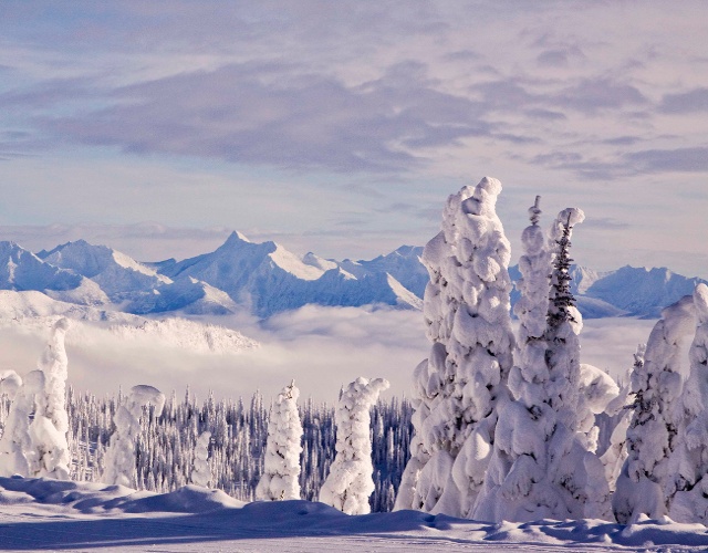 Snow ghosts, Whitefish Mountain, MT